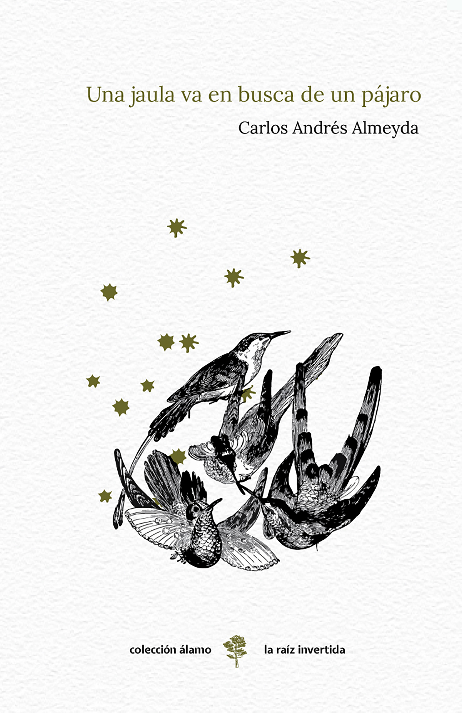Una jaula va en busca de un pájaro de Carlos Almeyda